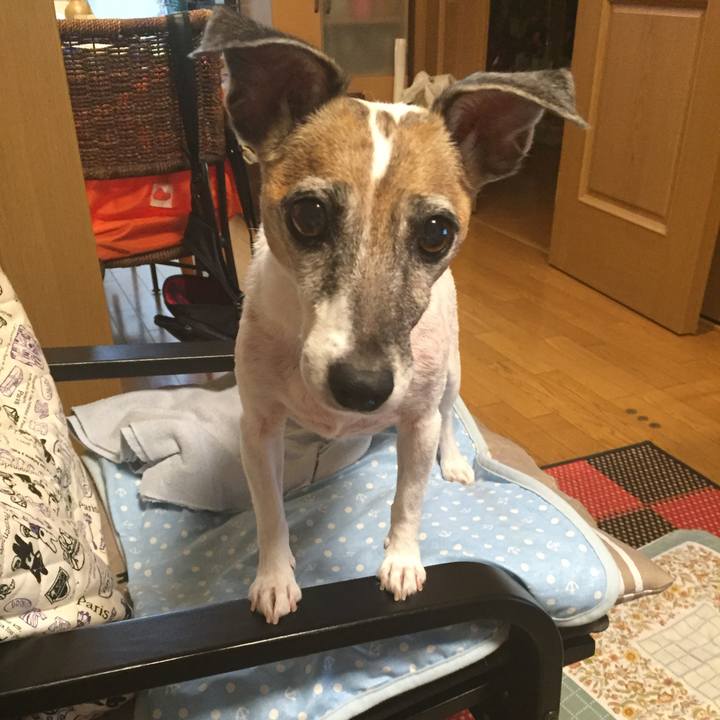 72a31a36 b877 47ee b125 3fa4abf9938d