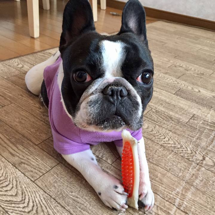 72a33e8e 5ca4 44f8 ac75 2053a1fd2a2d