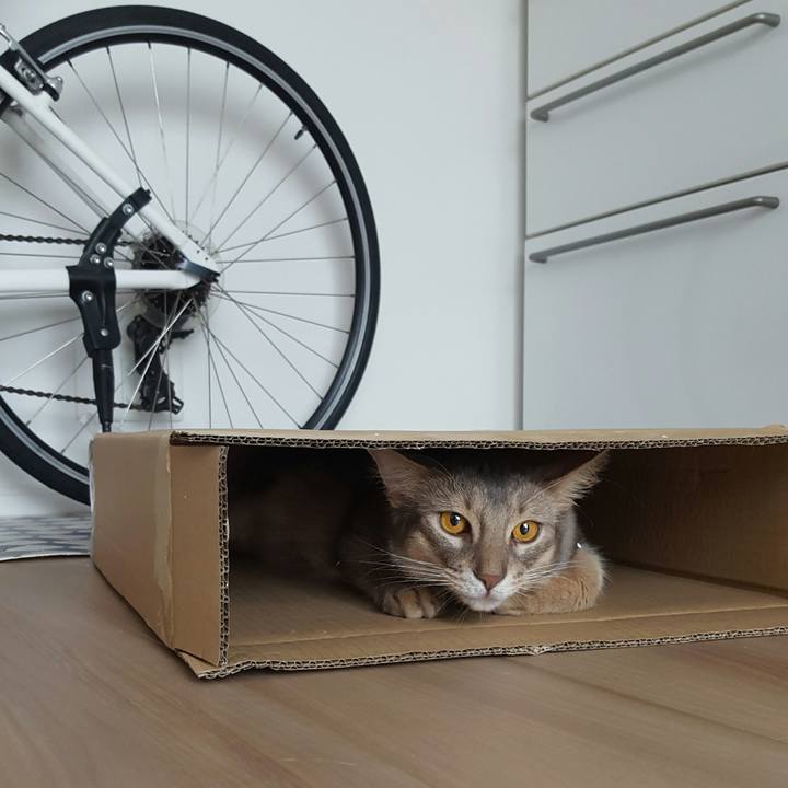 72a50a31 957f 46ef add1 2666f76841c4