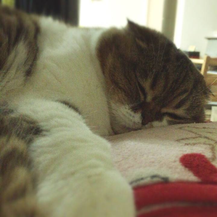 72a525b0 a3c0 4e9e b898 6df0e4042ff2