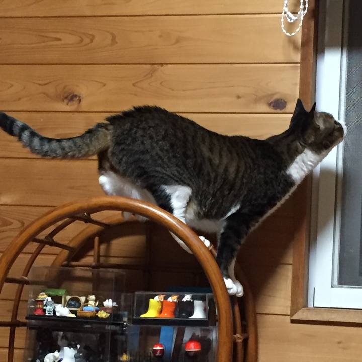 72a59df2 c03c 4b0c b9f8 e333e1897d6f