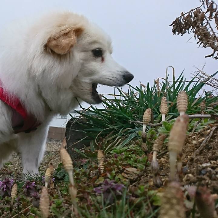 72a674d7 949e 43e2 b75b b471f4658462