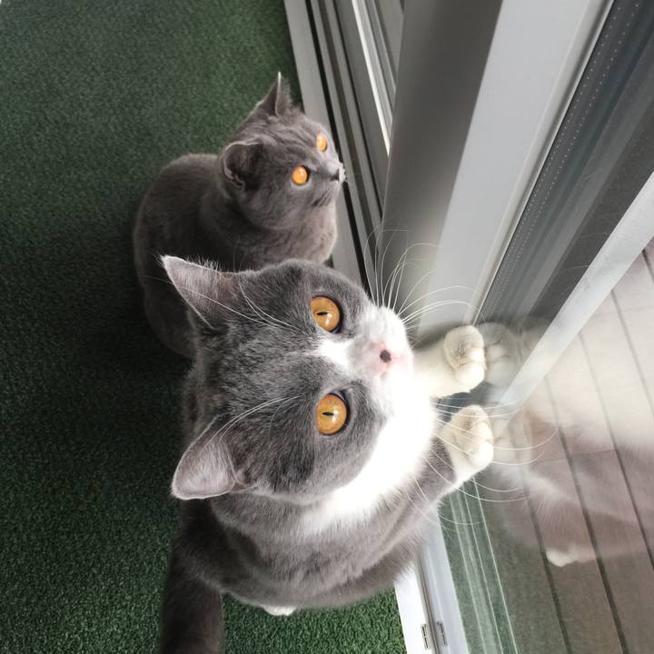 72a6b4a1 92b1 4f87 9ae3 b9d4a4be9c5e