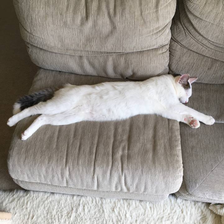 72a6ef38 3595 457c 85ba 008f1b8b78bc