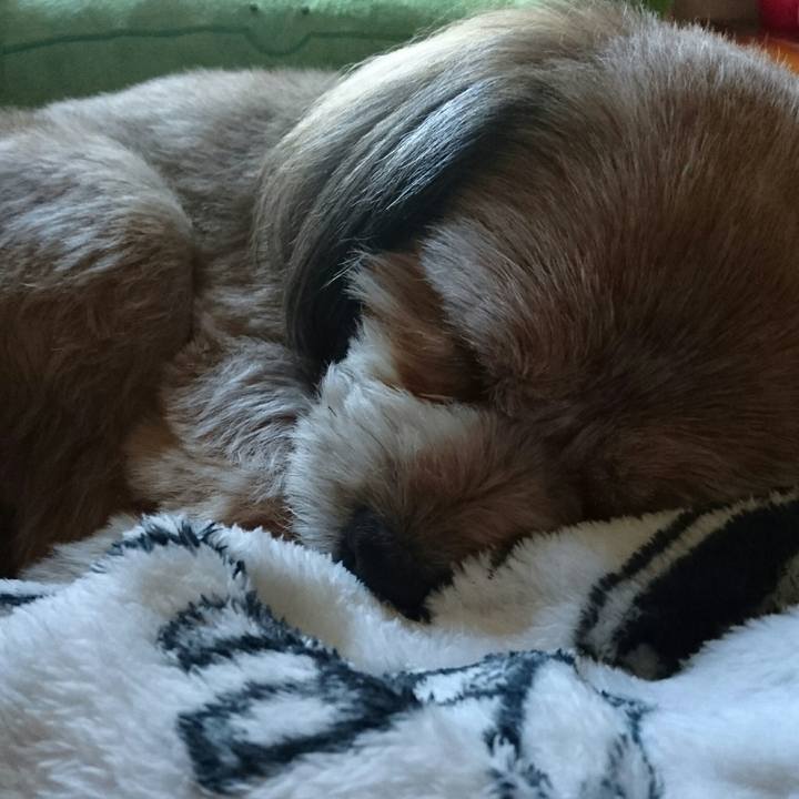 72a74e11 b5de 410d 9c46 382e470a6a2d