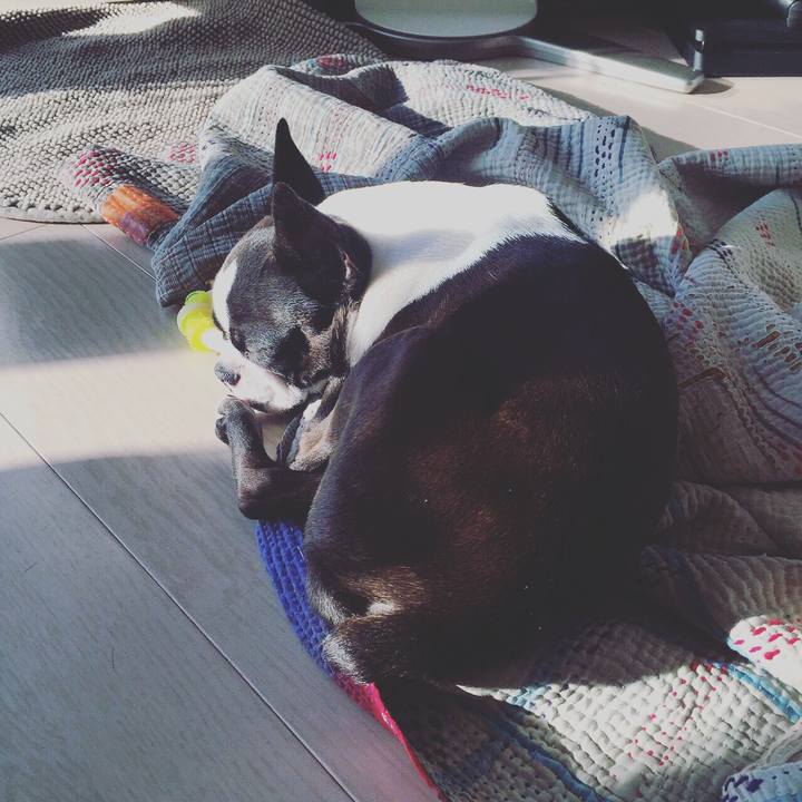 72a82df6 cdc1 4faa 86ed 6cadbe9336e6