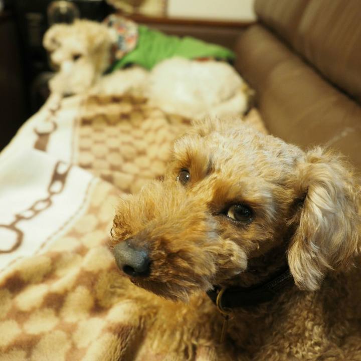 72a8b9ea d50b 45d3 b2df 42c083785484