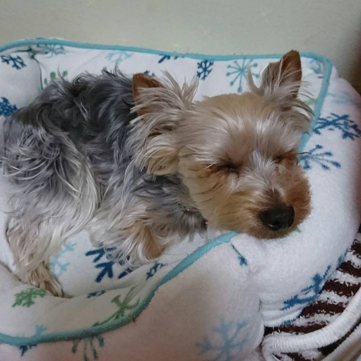 72a8ce7c ddc1 4c96 b8d9 7b9f2fa53f39