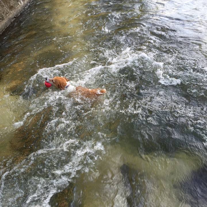 72a8fa26 1bf9 42e3 ae1b 87d586b15b53