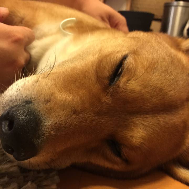 72a99116 ad71 41b6 b7a5 33ed559b1312