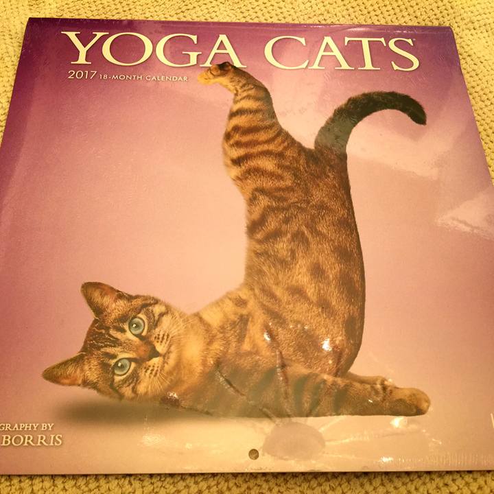 72a9dd27 7667 48a1 baec ba3dbaf6da84