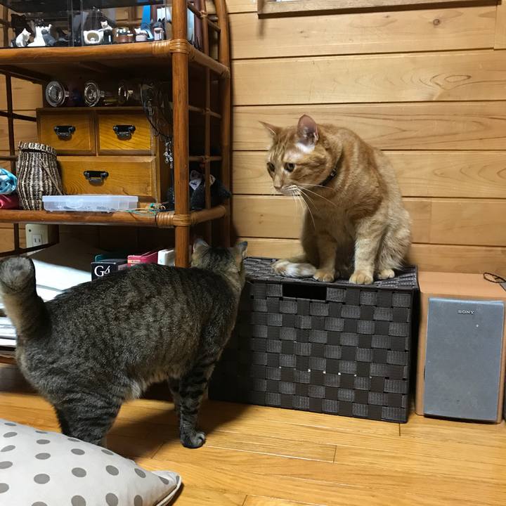 72aa73d3 162a 4aba 9b30 f9955488b084