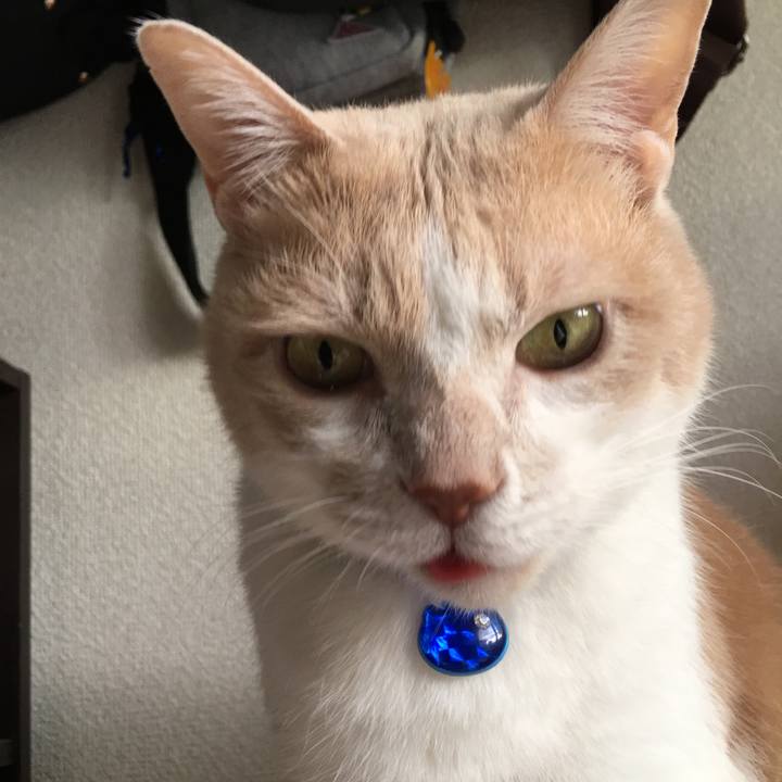 72aa7be4 e981 4fd8 a952 ea809a4af46c