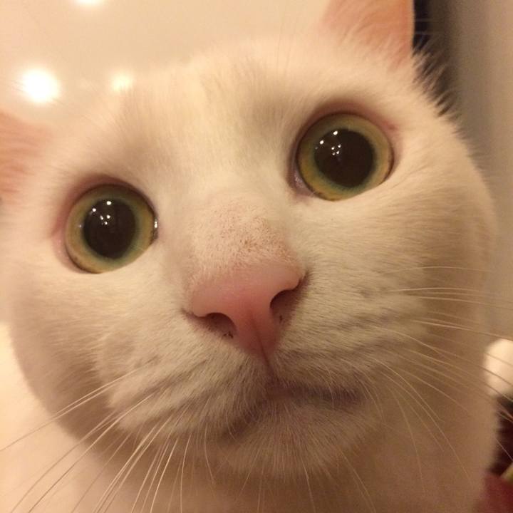 72aa9ee2 e9e5 407d 9db7 ea4538e72dd2