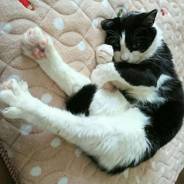 72ac8df7 8358 4a8b aef9 fc8db2d4bdaa