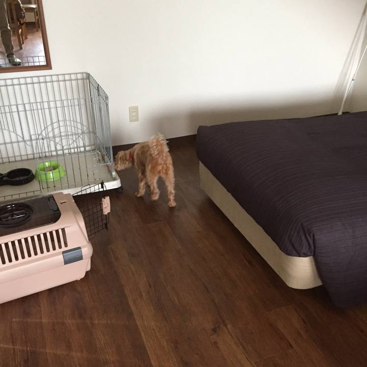 72acc96d 0bc8 4c64 841e d657d93b24b1