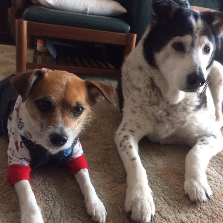 72ad1945 e6b2 418d 9671 c05440382343