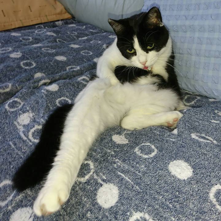 72adf4c9 cdb3 4d2c 9afa f12c6c899122