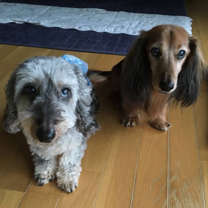 72ae284c bf16 4a41 b70d 30f3a8d63f87