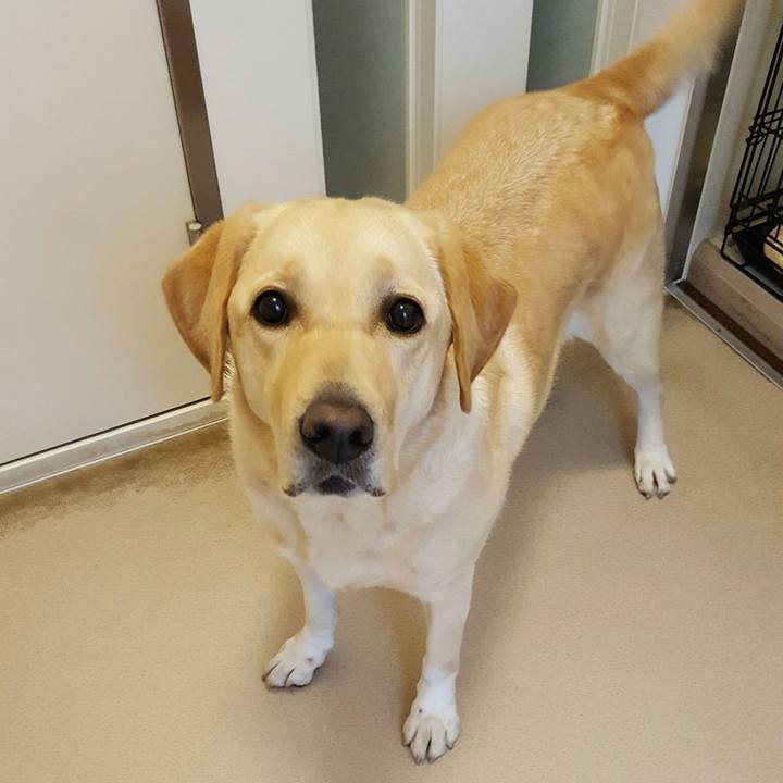 72aee201 52e7 4aa3 8d5e 2b72c5878ba8