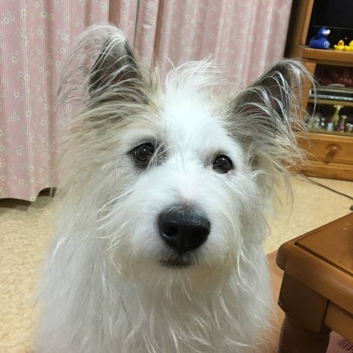 72af6ead 9239 49a1 b4e0 76354d41efe3