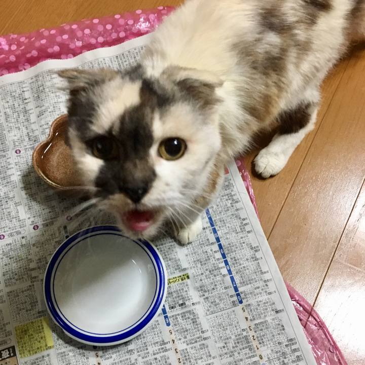 72b10129 a895 47f6 91ce 9265a2be8cba