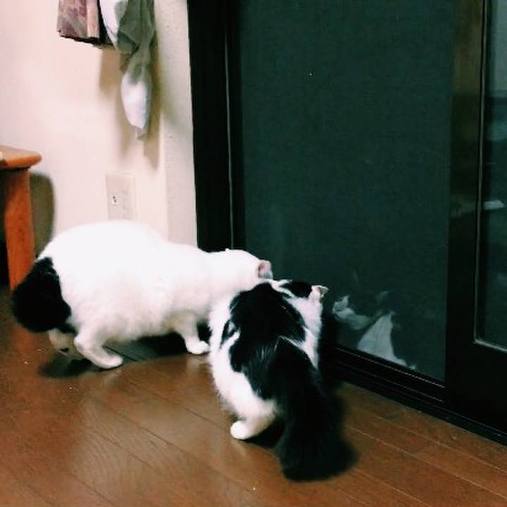 72b16dfd 18d0 4c13 8669 fbd49ba71964