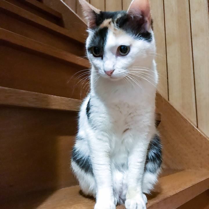 72b179c5 40b1 4f4c 83e8 a0909c39873d