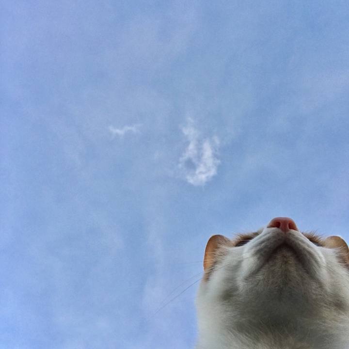 72b1d570 cea2 478a 9916 27ac172f59ad