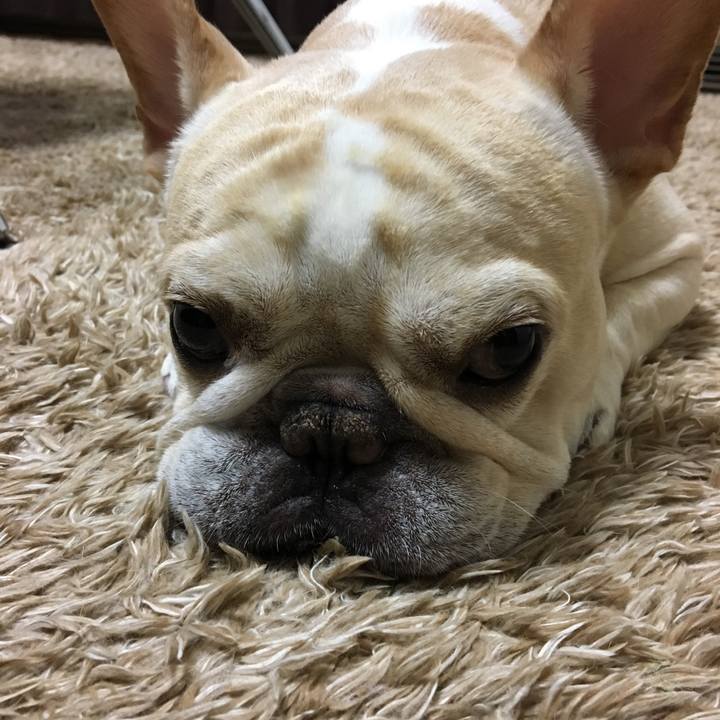 72b1d9c9 3fbe 443a af24 0ad799d7e018