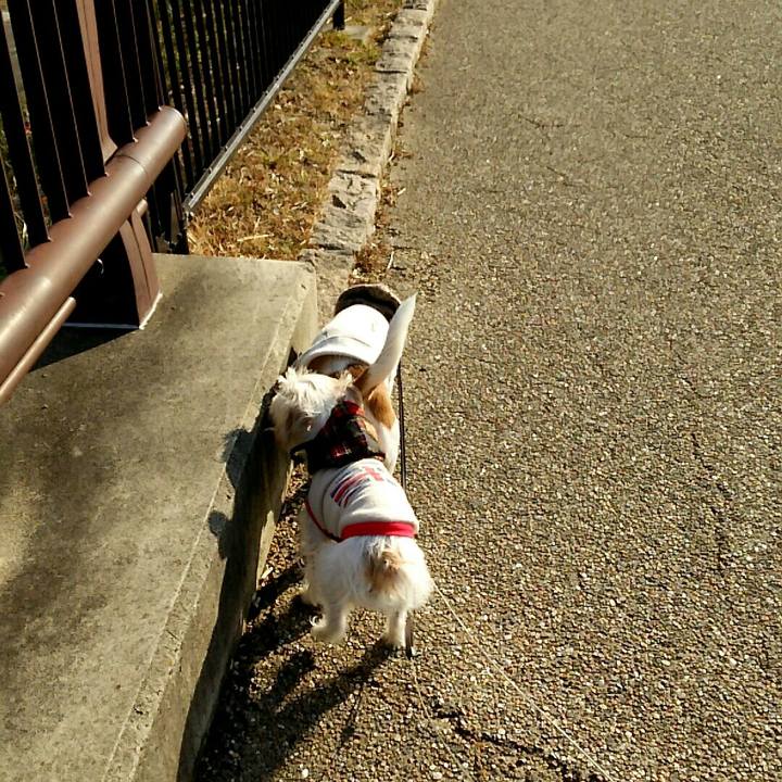 72b276d1 3f72 4ec7 8144 c33d541f1c0d