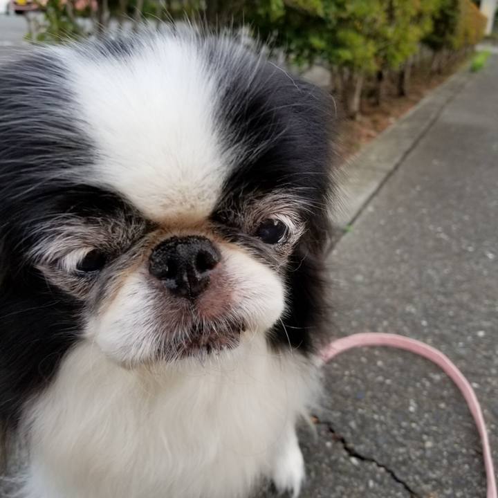 72b28c79 fec5 4657 9381 6d6f4fb38fa3