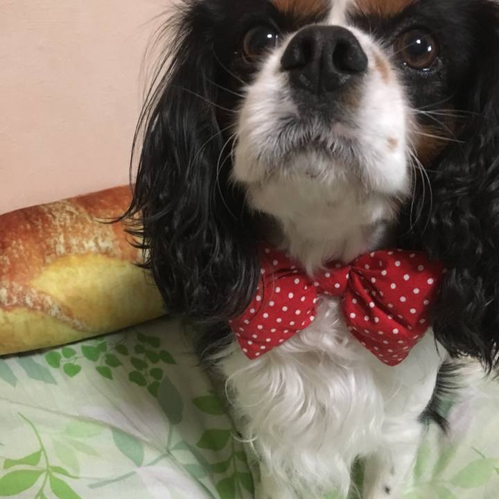 72b2c7e2 9600 428b 95eb 153461ee19bf