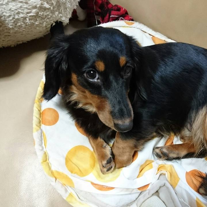 72b48b88 c5a6 49f0 a956 9f07dea56c08