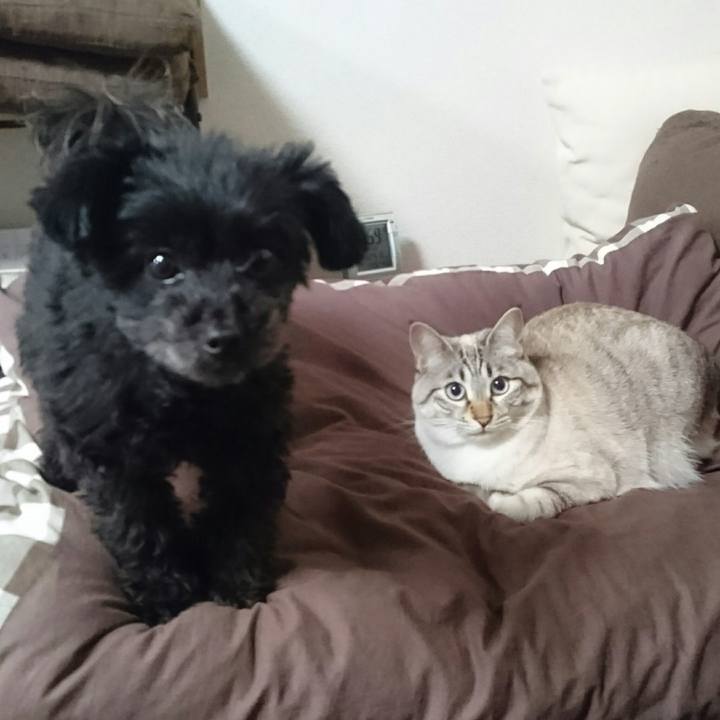 72b4e3ce 80f5 4342 a1de 6d8481c3a39f