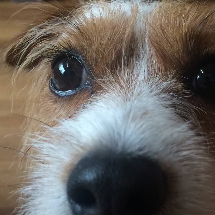 72b51cb6 2fae 4279 a211 142b04e31ee2