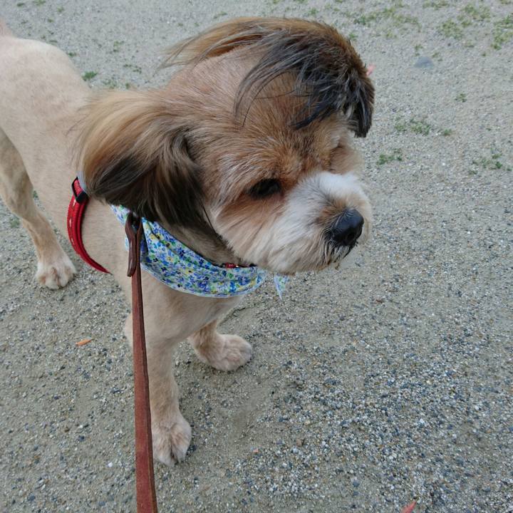 72b52a0c 8905 4ffe b94a 9795e1dc1442