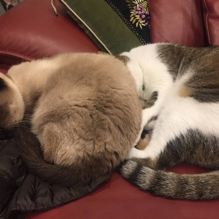 72b53367 3509 46e3 bf17 3a77ee212d40