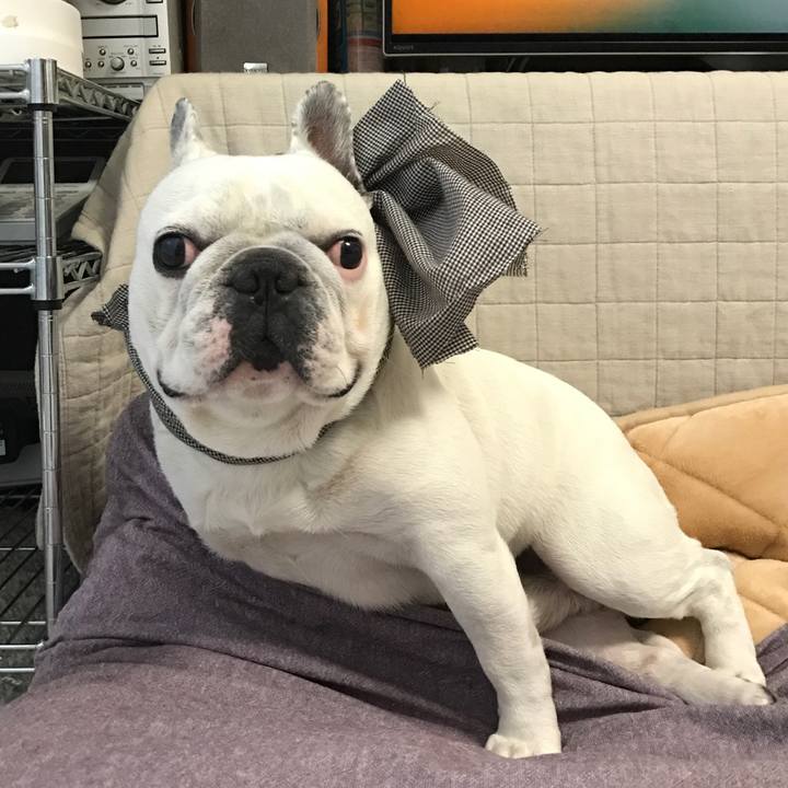 72b58eaa 8fb3 45bc bb36 2a0831d66f4c