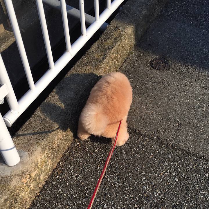 72b59d47 18f4 4155 8fe6 3a28bcad6d15