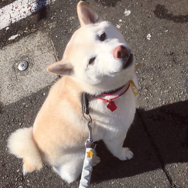 72b6484a 0e94 41db b2aa 6eba639159fc