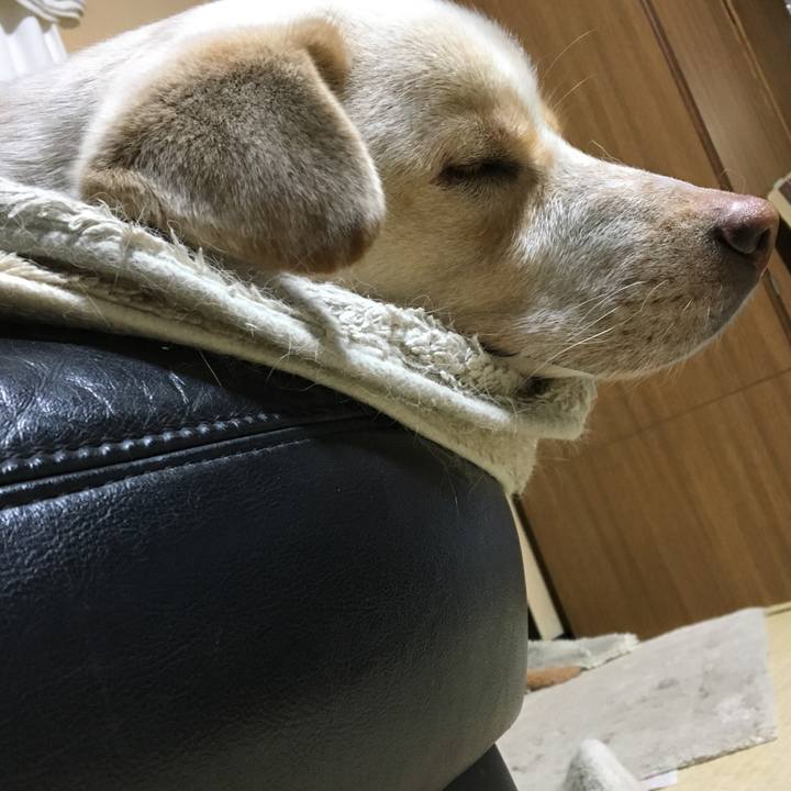 72b6dd55 3545 4dae a1ae 9c7c5e65f08c