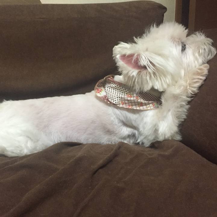 72b72fc0 9099 4ff7 adde 08c0c143a72d