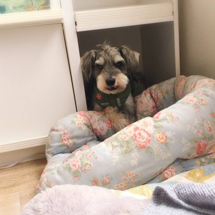 72b7b148 147f 4528 aa37 46821b3676ad