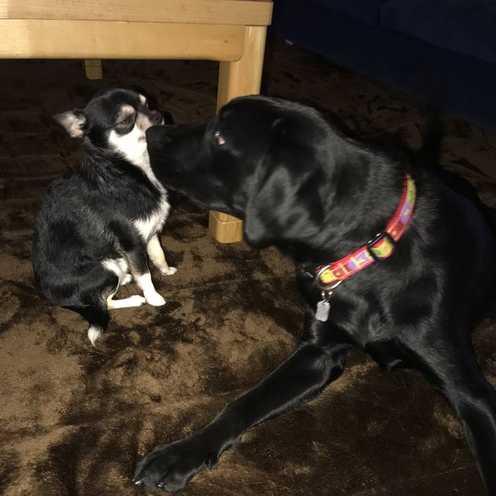 72b7b331 f78c 4435 bfa5 c1758b42d3c1