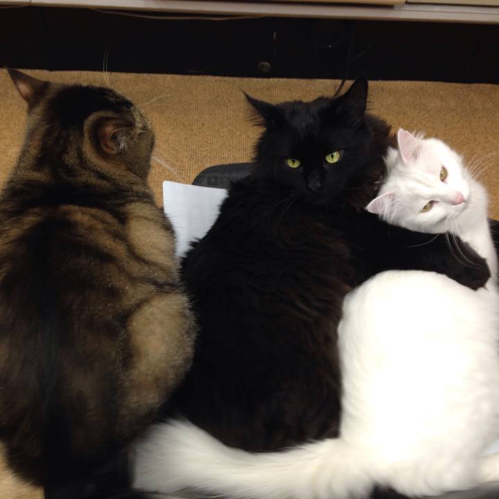 72b7ef99 0489 4e4a b17d b0cccdf4dd96