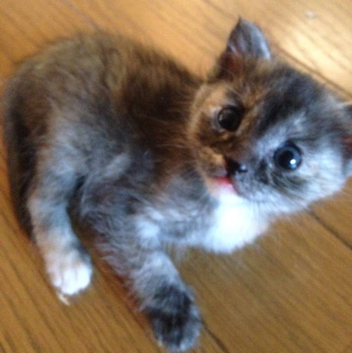 72b7fb94 1977 4bd2 a48e 0280a2d2e0a1