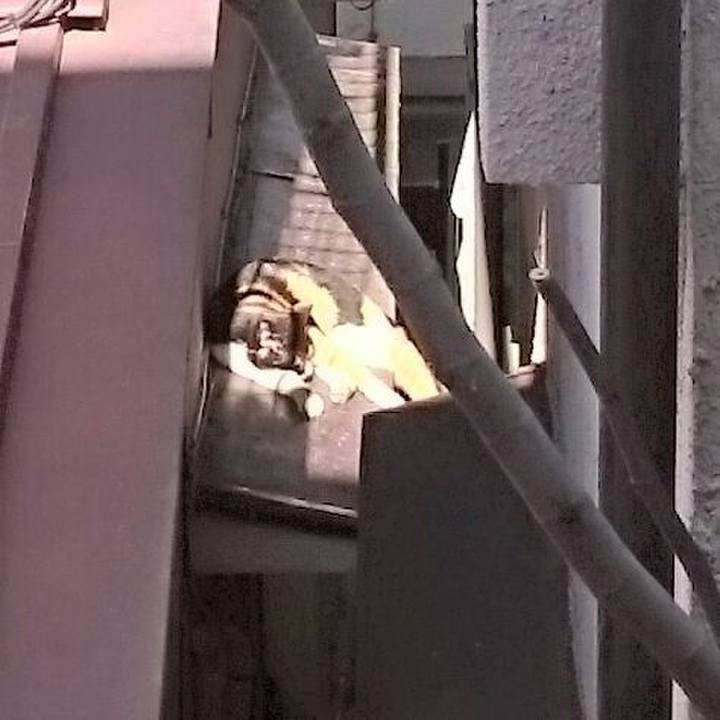 72b7ff6e c09a 4106 9688 b22947317bad