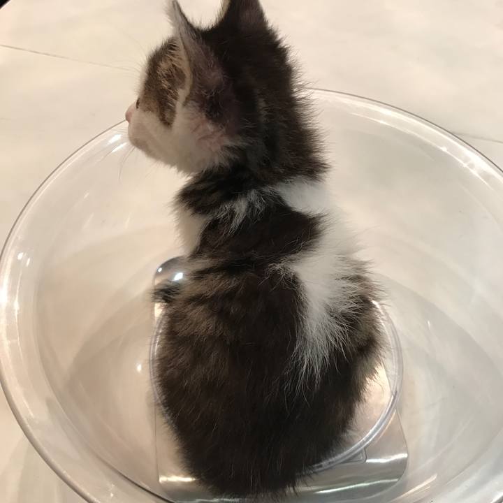 72b80333 dcbf 4c00 899f fe5d7f9db91a