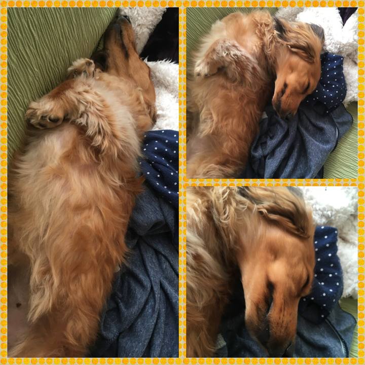 72b810ba 0556 4f97 8763 f917d1d987e4